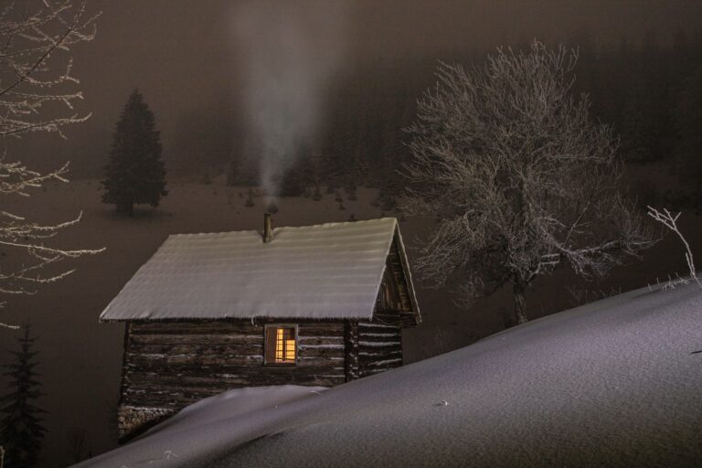 What Stayed with Me in the Cabin That Winter