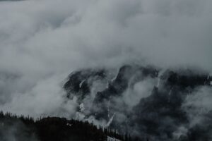 I Found My Brother's Camera in the Timberline After the Search Was Called Off