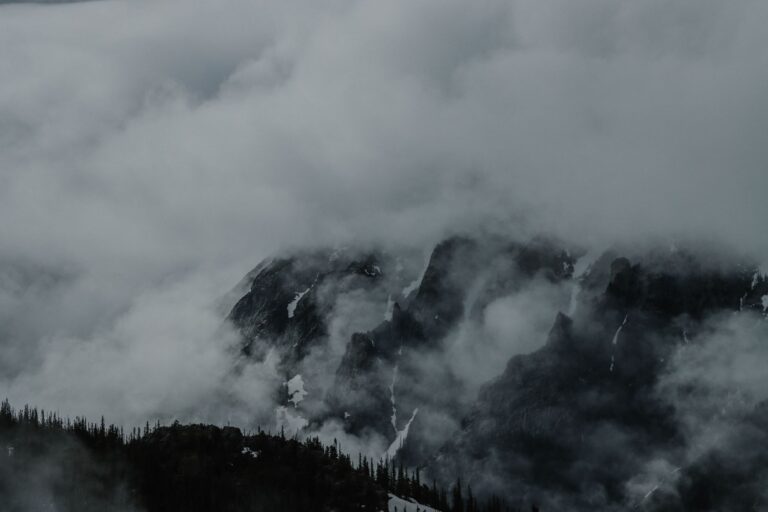 I Found My Brother's Camera in the Timberline After the Search Was Called Off