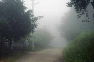 I Lived Through The Hunt And Still Smell The Pine